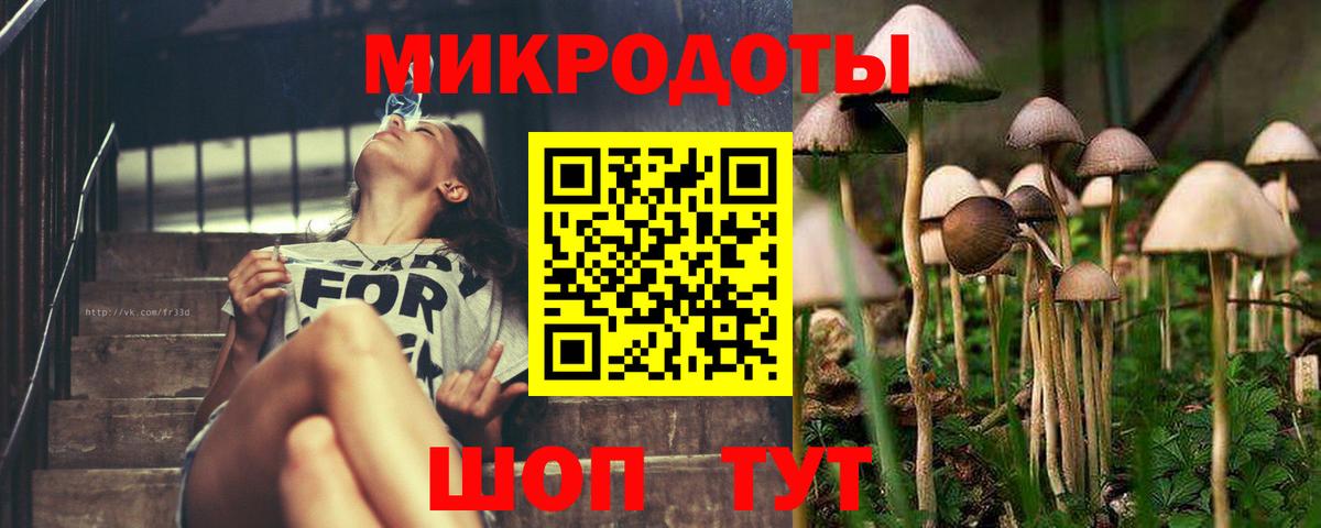 Альфа ПВП Тверь