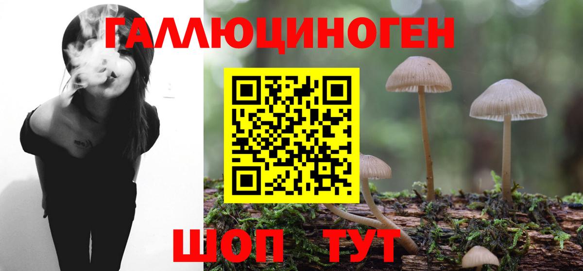 наркота  Вход с VPN  Тверь  Псилоцибиновые грибы ЛСД  Галлюциногенные грибы MAGIC MUSHROOMS 